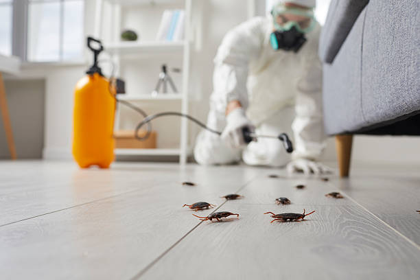 Post-Treatment Bed Bug Interceptor Monitoring in Nemacolin