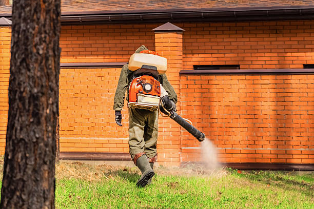 Bed Bug Clearance Verification and Documentation in Nemacolin